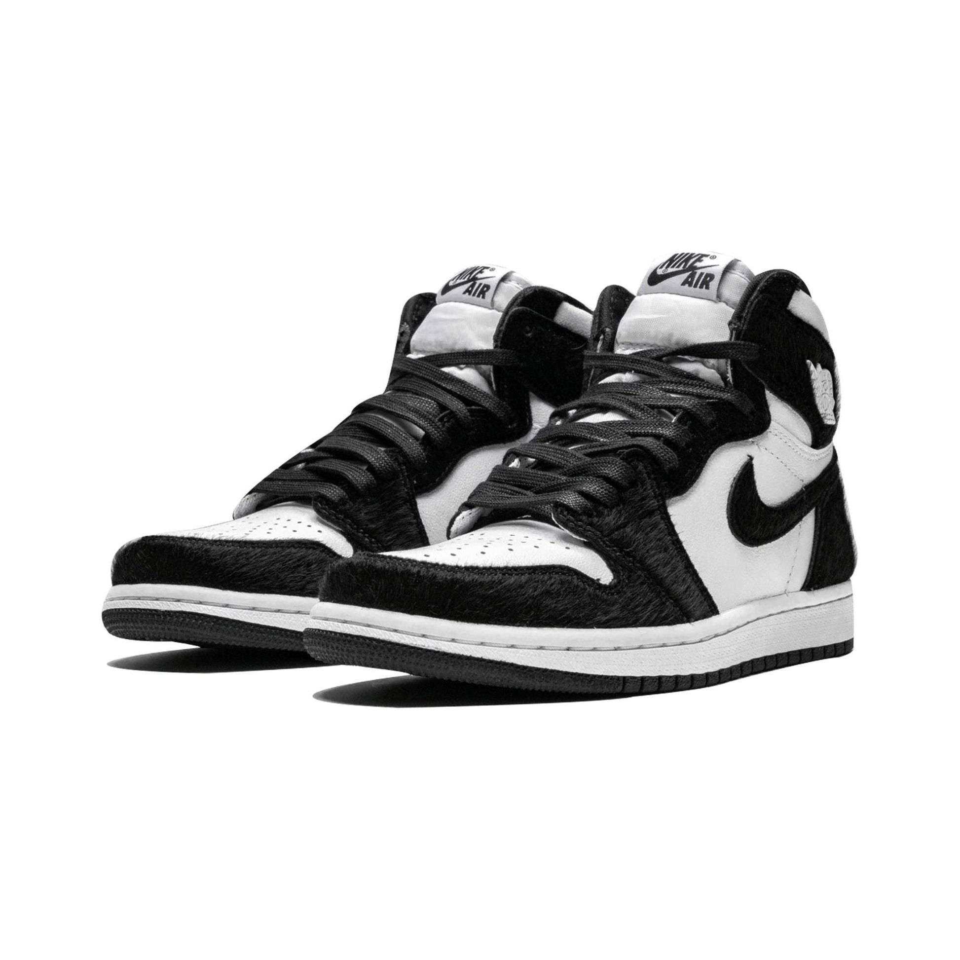 Air Jordan 1  High "Twist"